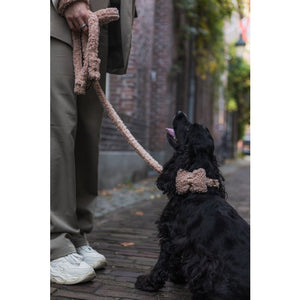 Handsfree Teddy Dog leash