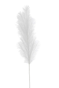 Branch White Feather Duster