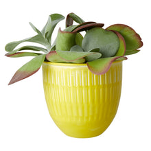 Enamel Yellow Flower Pot