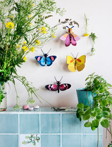 Peacock Butterfly Wall Decoration