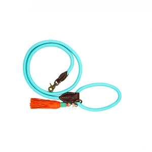 Turquoise Dog leash