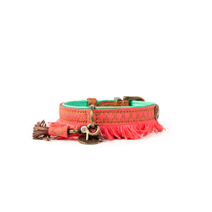 Holly Dog Collar Waterford