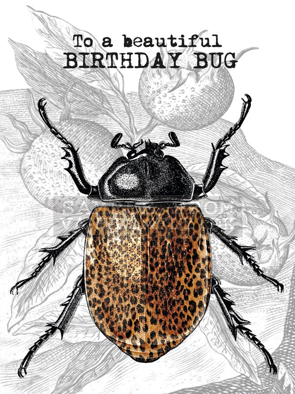 VF Birthday Card - Bug