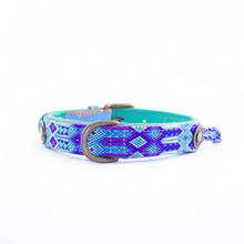 Blue Dog Collar Waterford