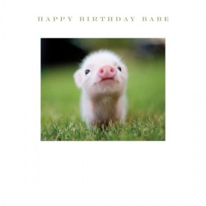 SOH Birthday Card - Babe