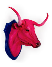 Pink Steer head