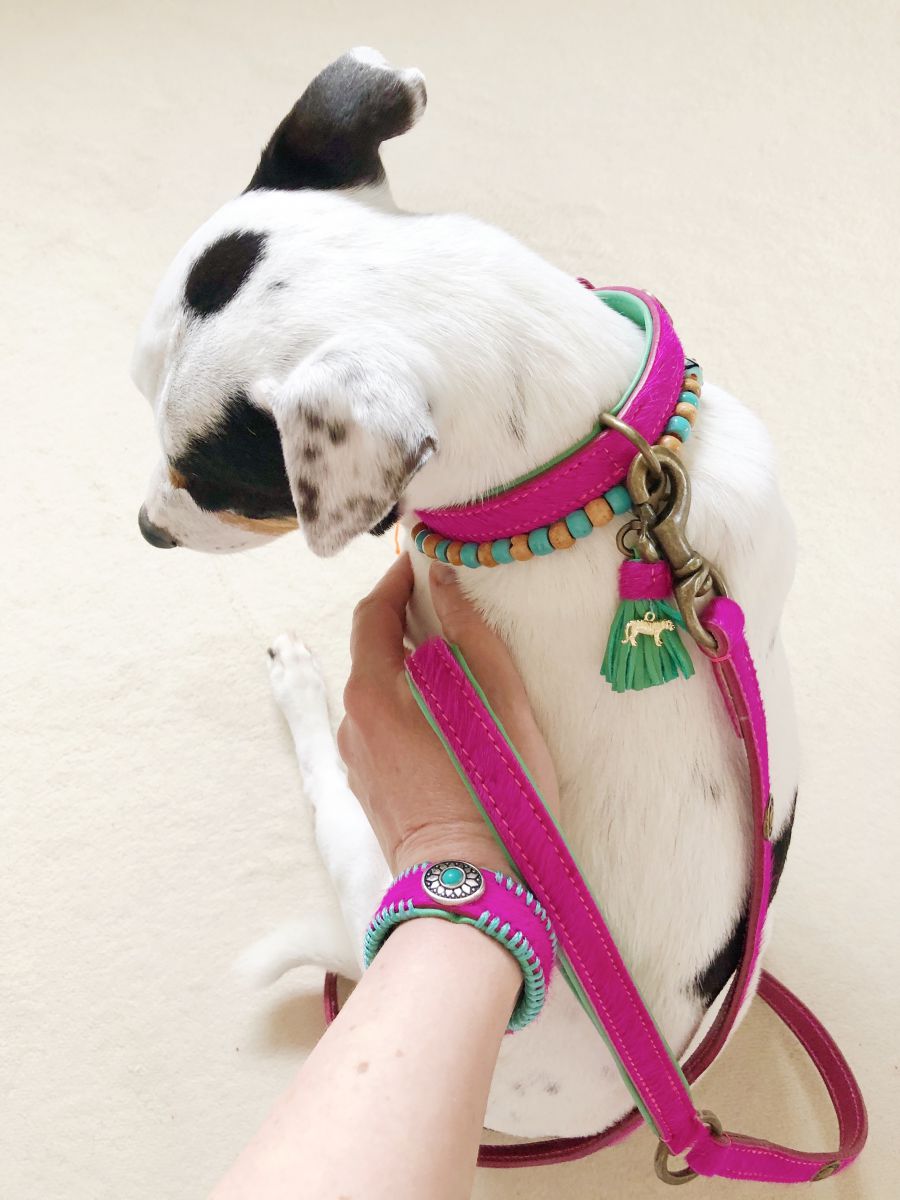 Lollypop Pink Dog Collar